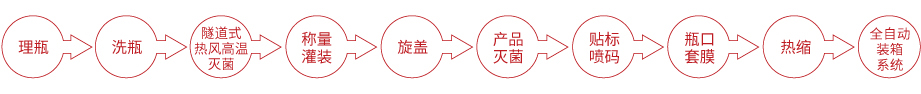 风味豆豉灌装机